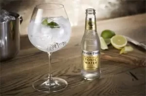 Gin tônica