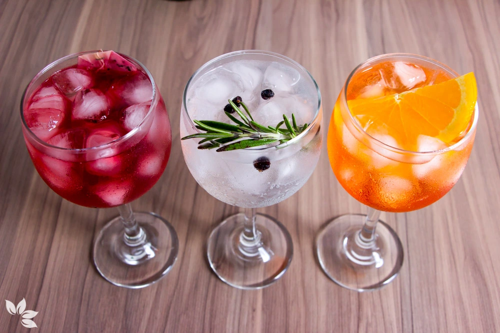 receitas de gin tonica